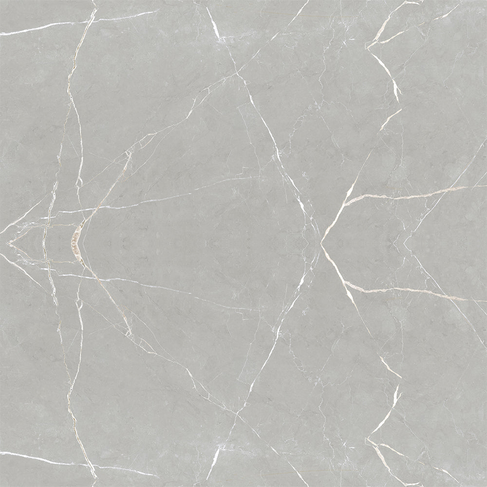 Hoogglans Grijs Marmelrook 120x120 tegels